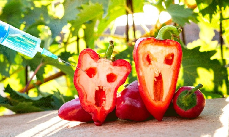 Ознаки ГМО у продуктах