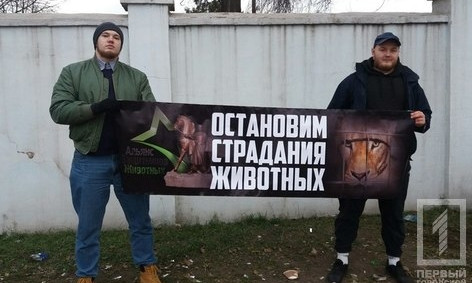 "Остановим страдания животных": активисты пикетировали выступление цирка "Кобзов"