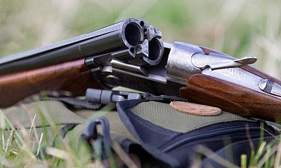 В Кривом Роге среди бела дня расстреляли собаку, - свидетели событий