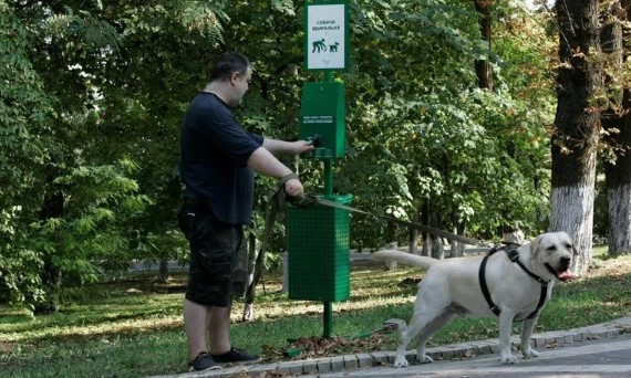 В Раде хотят принять законопроект о штрафах для хозяев за неуборку за питомцами
