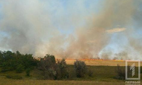 Под Кривым Рогом горят поля пшеницы