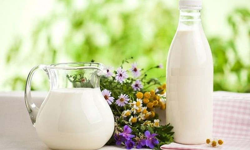 В Украине растет дефицит собственной молочной продукции