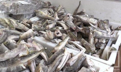 "Рыбный" скандал в Кривом Роге: поставщики продукции пообещали тщательней проверять продукцию