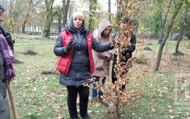 Криворожане озеленили парк им. Федора Мершавцева Фото № 6 Криворожане озеленили парк им. Федора Мершавцева Фото № 6