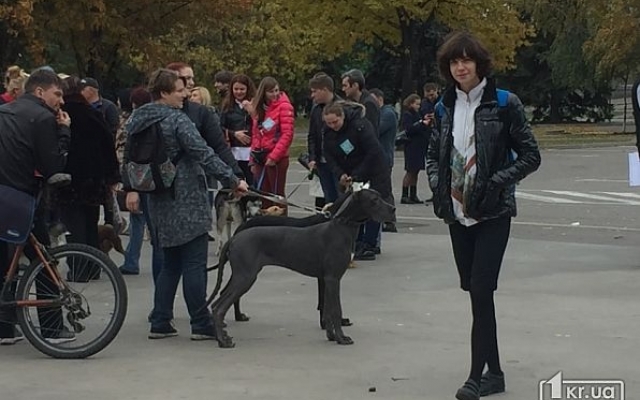 Фоторепортаж: в Кривом Роге провели митинг против жестокости людей Фото № 13 Фоторепортаж: в Кривом Роге провели митинг против жестокости людей Фото № 13
