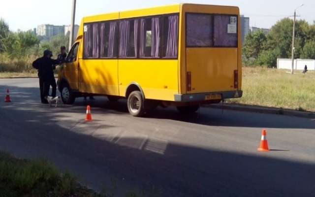 В Долгинцевском районе в маршрутку чуть не врезался В Долгинцевском районе в маршрутку чуть не врезался
