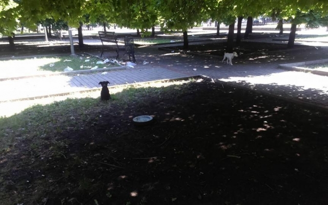Парк возле ДК Центрального ГОКа в Кривом Роге приводит криворожан в ужас Фото № 1 Парк возле ДК Центрального ГОКа в Кривом Роге приводит криворожан в ужас Фото № 1