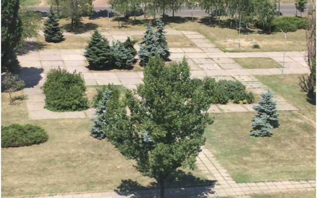 Фотофакт: Неужто сквер в Кривом Роге привели в порядок? Фото № 1 Фотофакт: Неужто сквер в Кривом Роге привели в порядок? Фото № 1