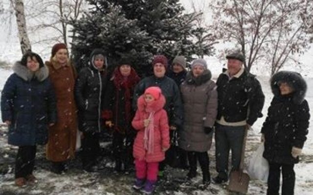 В Кривом Роге по заданию чиновника пытались выкопать 6-метровую ель Фото № 0 В Кривом Роге по заданию чиновника пытались выкопать 6-метровую ель Фото № 0