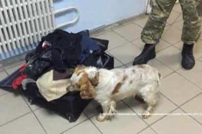 Криворожанин пытался провести 3 кг наркотиков в парафине Фото № 0 Криворожанин пытался провести 3 кг наркотиков в парафине Фото № 0