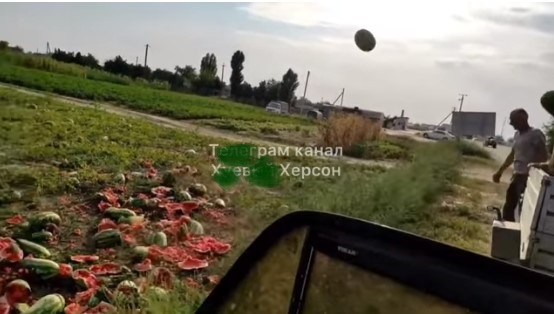 В сети возмущены уничтожением урожая арбузов на Херсонщине: ягоды никому не нужны (ВИДЕО) Фото № 0 В сети возмущены уничтожением урожая арбузов на Херсонщине: ягоды никому не нужны (ВИДЕО) Фото № 0