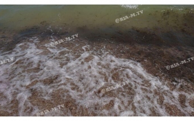 На Азовском море отдыхающие показали новую проблему (ФОТО, ВИДЕО) Фото № 0 На Азовском море отдыхающие показали новую проблему (ФОТО, ВИДЕО) Фото № 0