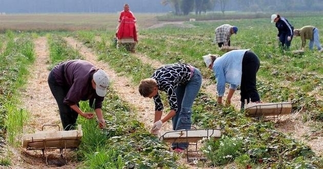 В Польше поднимают уровень минимальной зарплаты: насколько выше она украинской В Польше поднимают уровень минимальной зарплаты: насколько выше она украинской