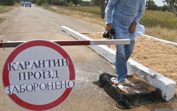 В Полтавской области из-за бешенства ввели карантин Фото № 0 В Полтавской области из-за бешенства ввели карантин Фото № 0