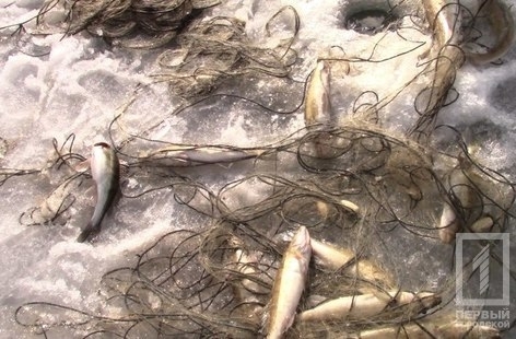 На Южном водохранилище задержали браконьеров Фото № 0 На Южном водохранилище задержали браконьеров Фото № 0