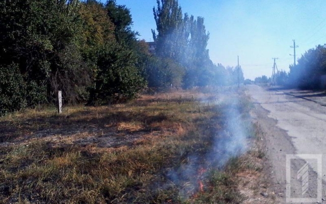 В Покровском районе копы тушили горевший сухостой Фото № 1 В Покровском районе копы тушили горевший сухостой Фото № 1