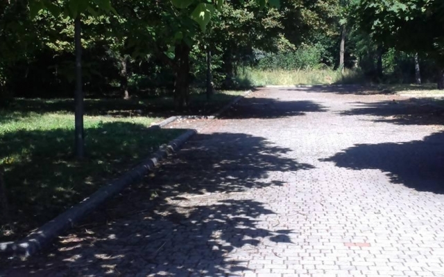 Парк возле ДК Центрального ГОКа в Кривом Роге приводит криворожан в ужас Фото № 6 Парк возле ДК Центрального ГОКа в Кривом Роге приводит криворожан в ужас Фото № 6