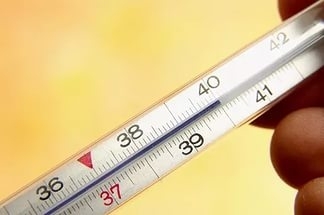 Есть ли грипп в Кривом Роге? - Два человека умерли от высокой температуры Фото № 0 Есть ли грипп в Кривом Роге? - Два человека умерли от высокой температуры Фото № 0