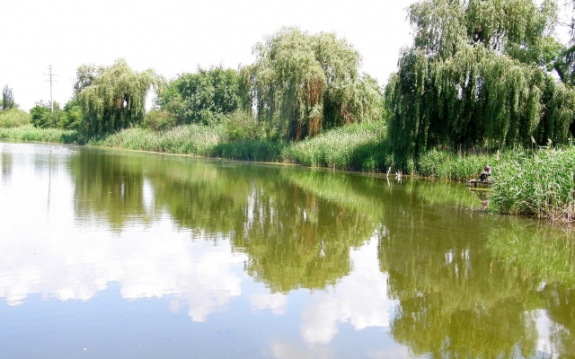 Экологи обнародовали результаты исследований воды в реке Саксагань Фото № 0 Экологи обнародовали результаты исследований воды в реке Саксагань Фото № 0