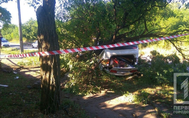 ДТП в Кривом Роге: машина врезалась в дерево, пострадал водитель Фото № 7 ДТП в Кривом Роге: машина врезалась в дерево, пострадал водитель Фото № 7