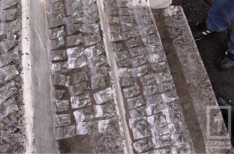 По Покровскому району гулял мужчина со 107-ю пакетиками марихуаны Фото № 0 По Покровскому району гулял мужчина со 107-ю пакетиками марихуаны Фото № 0