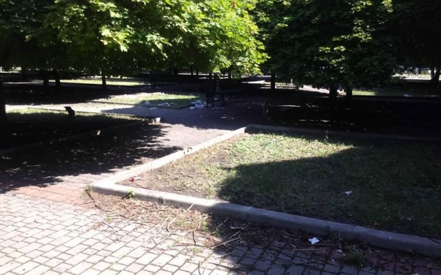 Парк возле ДК Центрального ГОКа в Кривом Роге приводит криворожан в ужас Фото № 7 Парк возле ДК Центрального ГОКа в Кривом Роге приводит криворожан в ужас Фото № 7