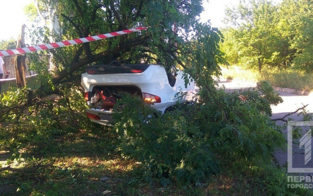 ДТП в Кривом Роге: машина врезалась в дерево, пострадал водитель Фото № 4 ДТП в Кривом Роге: машина врезалась в дерево, пострадал водитель Фото № 4