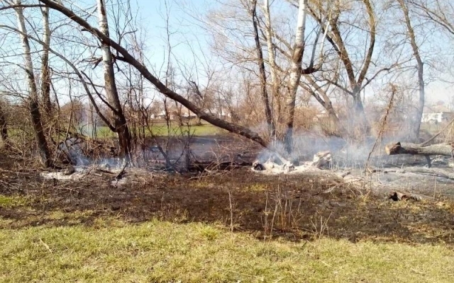 Пенсионерка подожгла лес, чтобы Пенсионерка подожгла лес, чтобы