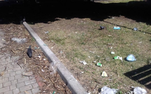 Парк возле ДК Центрального ГОКа в Кривом Роге приводит криворожан в ужас Фото № 10 Парк возле ДК Центрального ГОКа в Кривом Роге приводит криворожан в ужас Фото № 10
