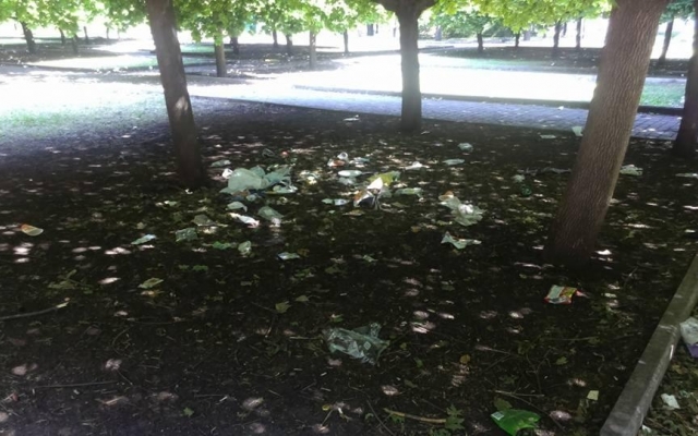 Парк возле ДК Центрального ГОКа в Кривом Роге приводит криворожан в ужас Фото № 5 Парк возле ДК Центрального ГОКа в Кривом Роге приводит криворожан в ужас Фото № 5