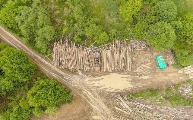 Карпаты стремительно Карпаты стремительно