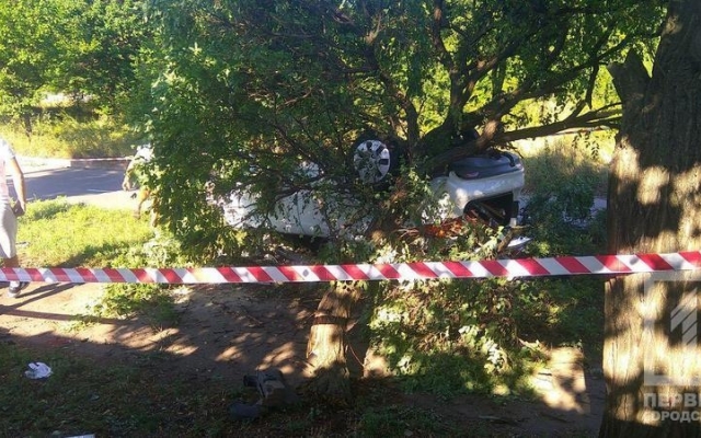 ДТП в Кривом Роге: машина врезалась в дерево, пострадал водитель Фото № 5 ДТП в Кривом Роге: машина врезалась в дерево, пострадал водитель Фото № 5