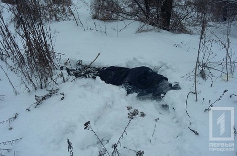 В Кривом Роге мужчина погиб от обморожения Фото № 0 В Кривом Роге мужчина погиб от обморожения Фото № 0