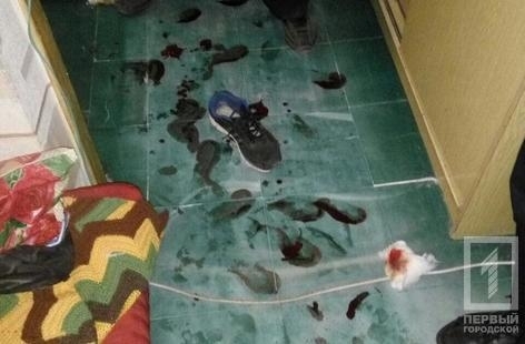 В Кривом Роге на глазах у ребенка семейная ссора закончилась поножовщиной Фото № 0 В Кривом Роге на глазах у ребенка семейная ссора закончилась поножовщиной Фото № 0