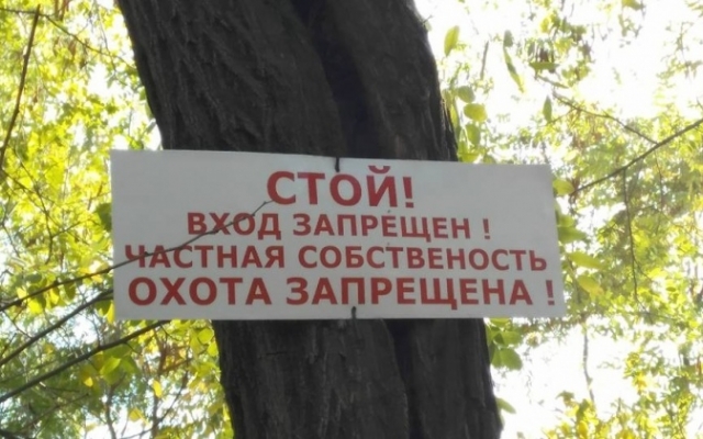 В Кривом Роге вырубают фруктовые деревья Фото № 1 В Кривом Роге вырубают фруктовые деревья Фото № 1