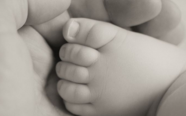 В элитном роддоме Киева опровергли, что родители бросили малышку из-за заячьей губы Фото № 0 В элитном роддоме Киева опровергли, что родители бросили малышку из-за заячьей губы Фото № 0