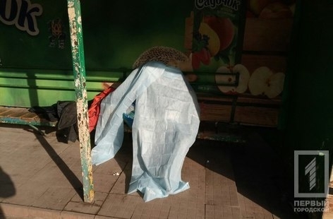 В центре Кривого Рога на остановке умер мужчина Фото № 0 В центре Кривого Рога на остановке умер мужчина Фото № 0