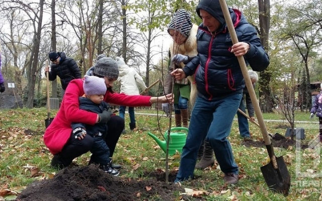 Криворожане озеленили парк им. Федора Мершавцева Фото № 3 Криворожане озеленили парк им. Федора Мершавцева Фото № 3