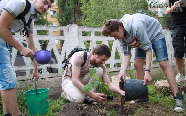 В Кривом Роге высадили деревья будущего Фото № 5 В Кривом Роге высадили деревья будущего Фото № 5
