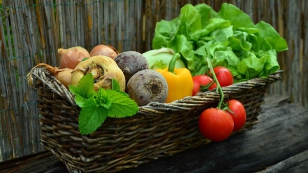 Делаем запасы на зиму: какие продукты выгодно взять именно сейчас, а с какими лучше повременить Фото № 0 Делаем запасы на зиму: какие продукты выгодно взять именно сейчас, а с какими лучше повременить Фото № 0