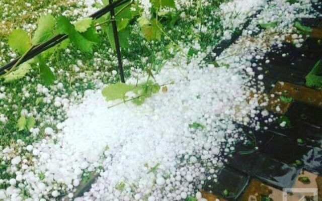 Криворожане поделились фотографиями урагана в соцсетях Фото № 6 Криворожане поделились фотографиями урагана в соцсетях Фото № 6