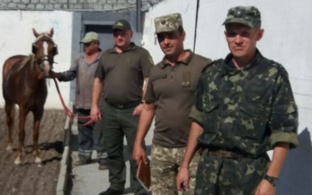 В колонии Каменского конь ищет подкопы вместе с работниками исправительного учреждения (ФОТО) Фото № 0 В колонии Каменского конь ищет подкопы вместе с работниками исправительного учреждения (ФОТО) Фото № 0