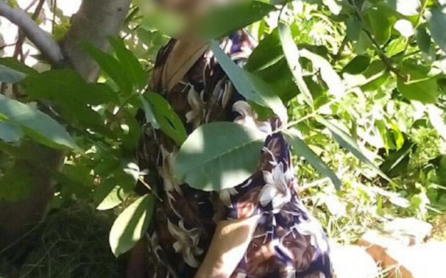 За сегодняшнее утро в Кривом Роге обнаружено тела двух самоубийц Фото № 2 За сегодняшнее утро в Кривом Роге обнаружено тела двух самоубийц Фото № 2