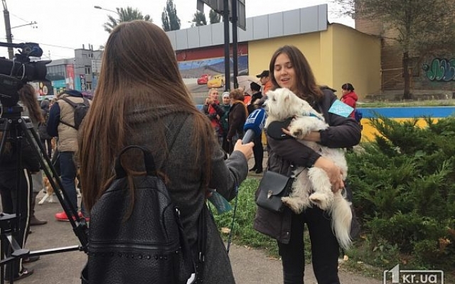 Фоторепортаж: в Кривом Роге провели митинг против жестокости людей Фото № 15 Фоторепортаж: в Кривом Роге провели митинг против жестокости людей Фото № 15