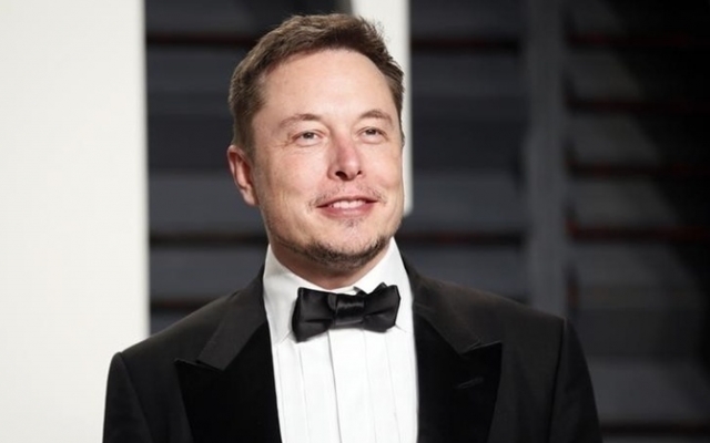 Илон Маск увековечил котиков в Tesla: логотип объяснил все Фото № 0 Илон Маск увековечил котиков в Tesla: логотип объяснил все Фото № 0