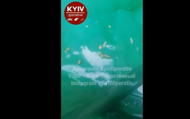 С личинками и червями: нацгвардейцы показали, какие сухпаи получили от государства на обед (ВИДЕО) Фото № 0 С личинками и червями: нацгвардейцы показали, какие сухпаи получили от государства на обед (ВИДЕО) Фото № 0