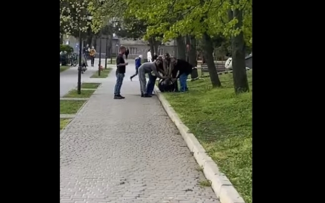 В Николаеве горожане несколько раз заявили в полицию о краже, когда рабочие катили по городу гранитные шары из парка (ВИДЕО) Фото № 0 В Николаеве горожане несколько раз заявили в полицию о краже, когда рабочие катили по городу гранитные шары из парка (ВИДЕО) Фото № 0
