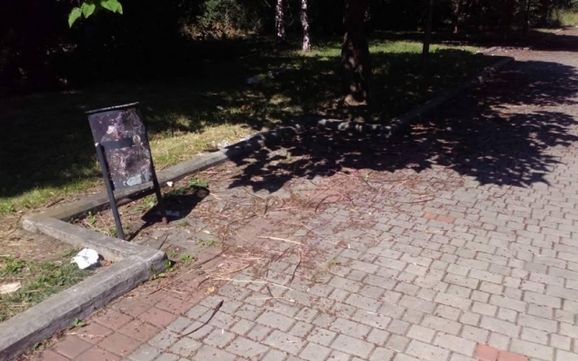 Парк возле ДК Центрального ГОКа в Кривом Роге приводит криворожан в ужас Фото № 11 Парк возле ДК Центрального ГОКа в Кривом Роге приводит криворожан в ужас Фото № 11