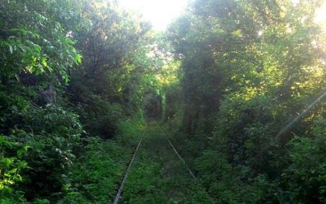 Криворожан приглашают на экскурсию в туннель любви Фото № 0 Криворожан приглашают на экскурсию в туннель любви Фото № 0