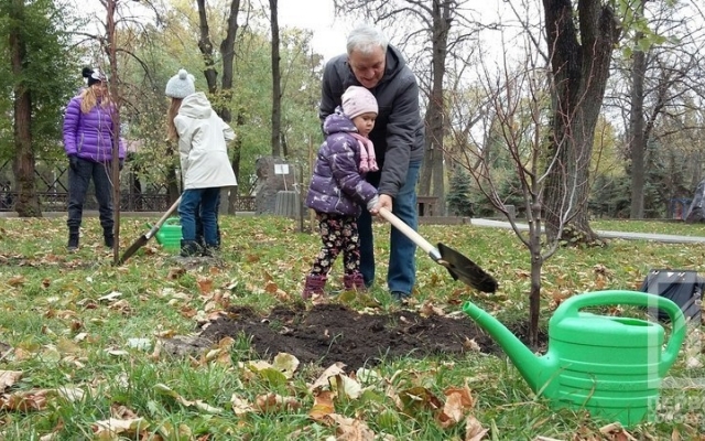 Криворожане озеленили парк им. Федора Мершавцева Фото № 4 Криворожане озеленили парк им. Федора Мершавцева Фото № 4